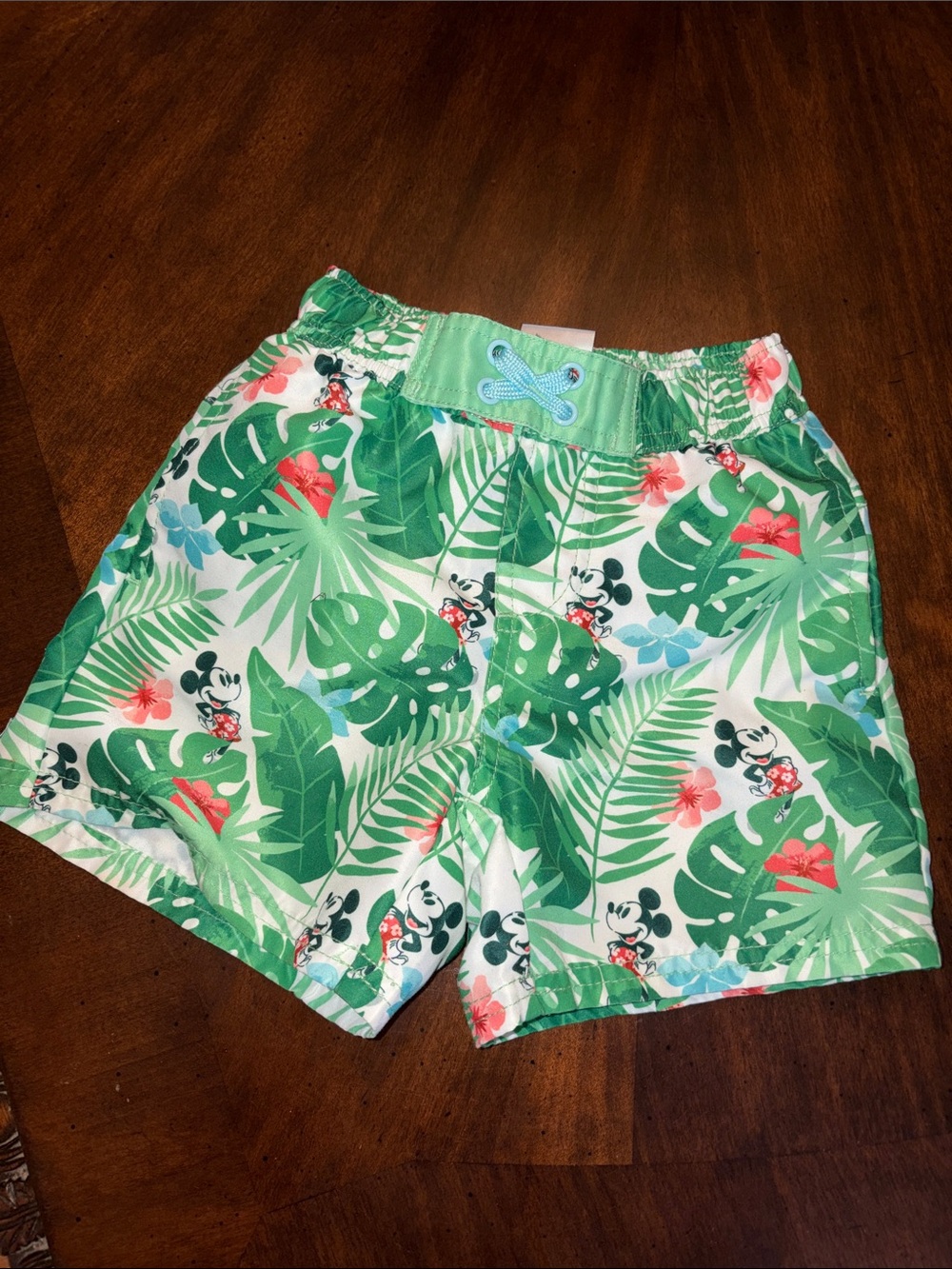 Disney Boys Green Tropical Mickey Swim Trunks